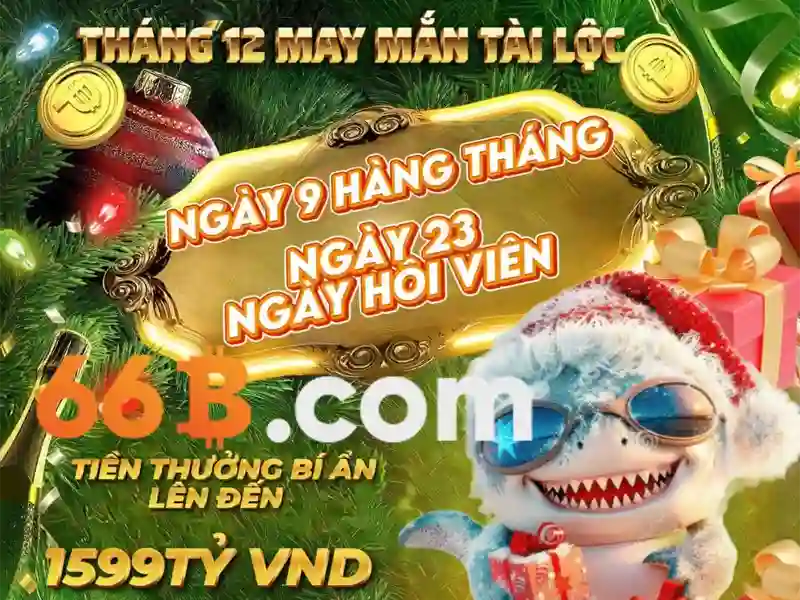 66b là gì