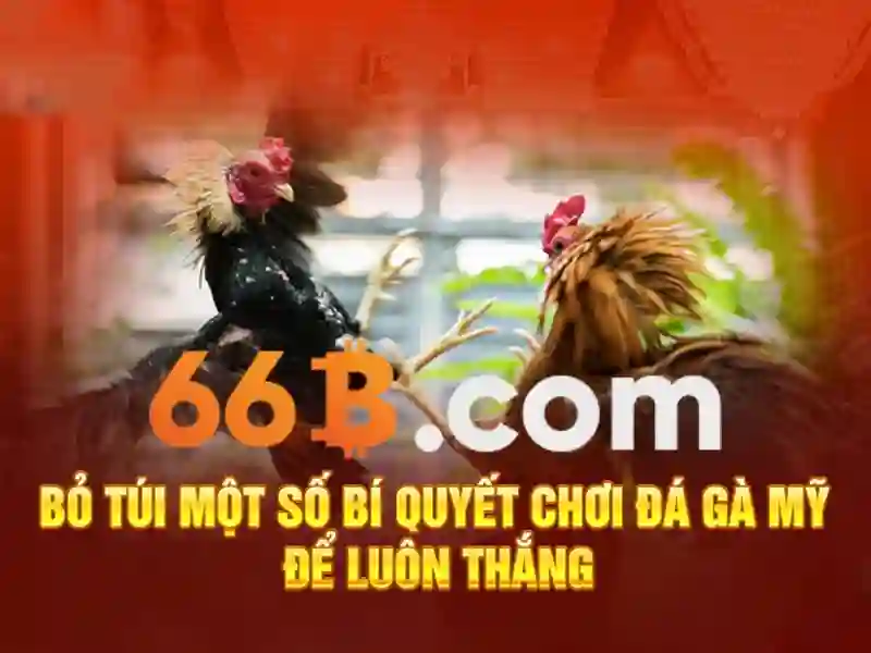 Giới thiệu về 66b