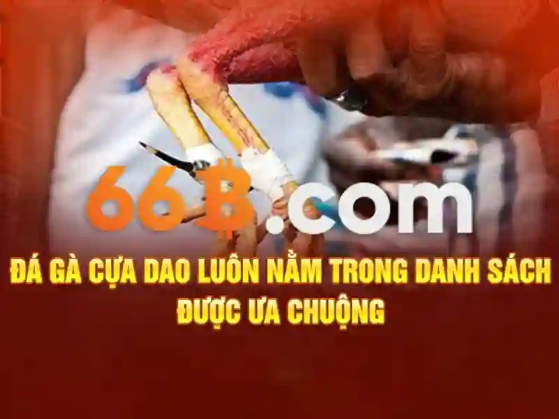 66B: Hiểu về mô hình 66 tỷ tham số