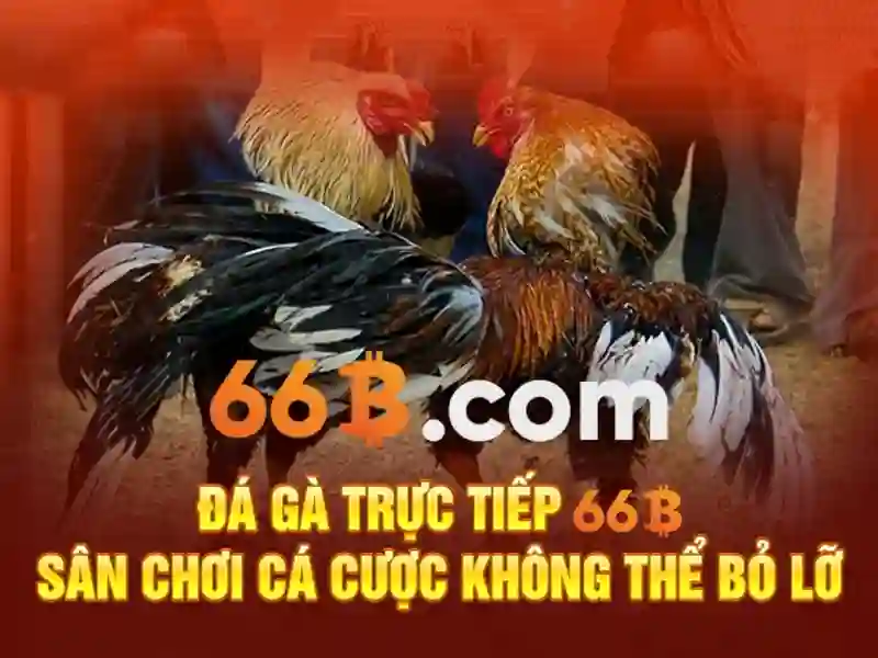 66b quán sứ – nguồn gốc từ khóa và sứ mệnh