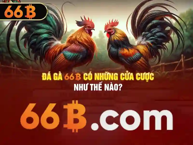66b games – Định hình thương hiệu và trải nghiệm người dùng