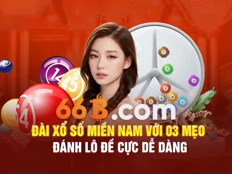 Sản phẩm và dịch vụ chủ chốt của 66b phường 15 quận tân bình