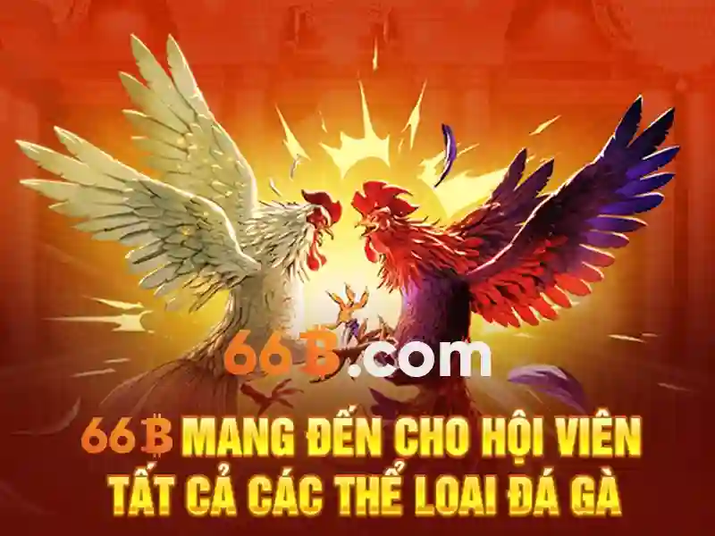 Giới thiệu về 66b<h>Kiến trúc và cách hoạt động</h><p><span style=