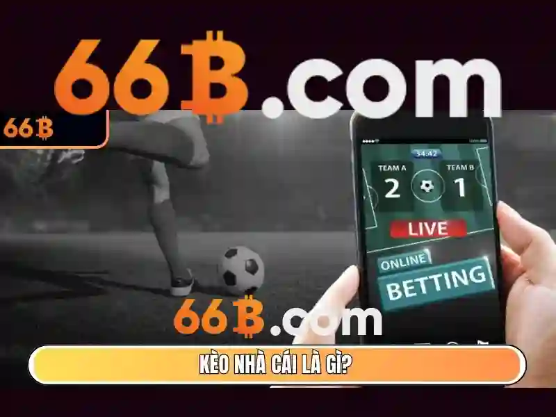 Ứng dụng của 66b trong đời sống số