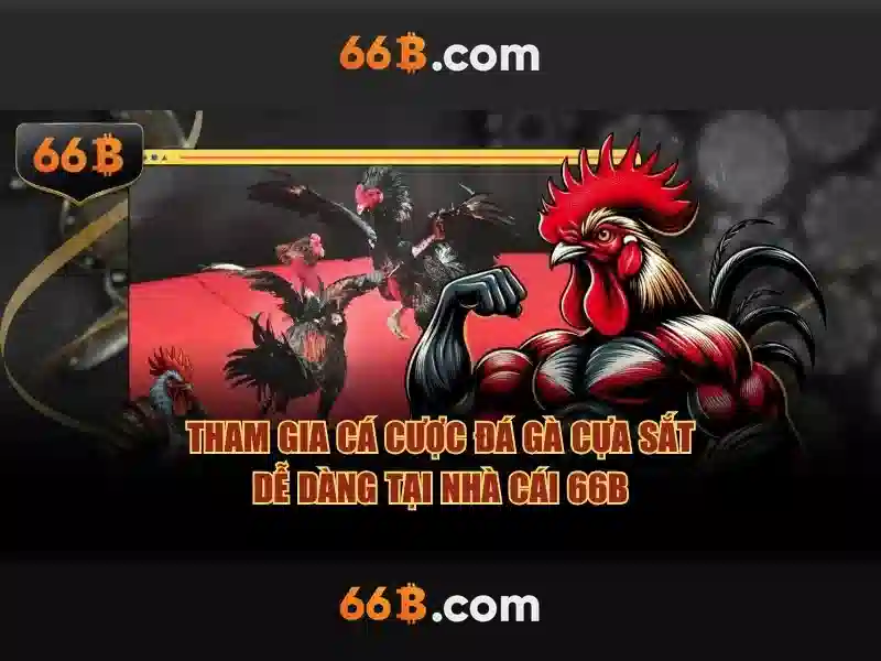 Kiến trúc và kích thước của 66b