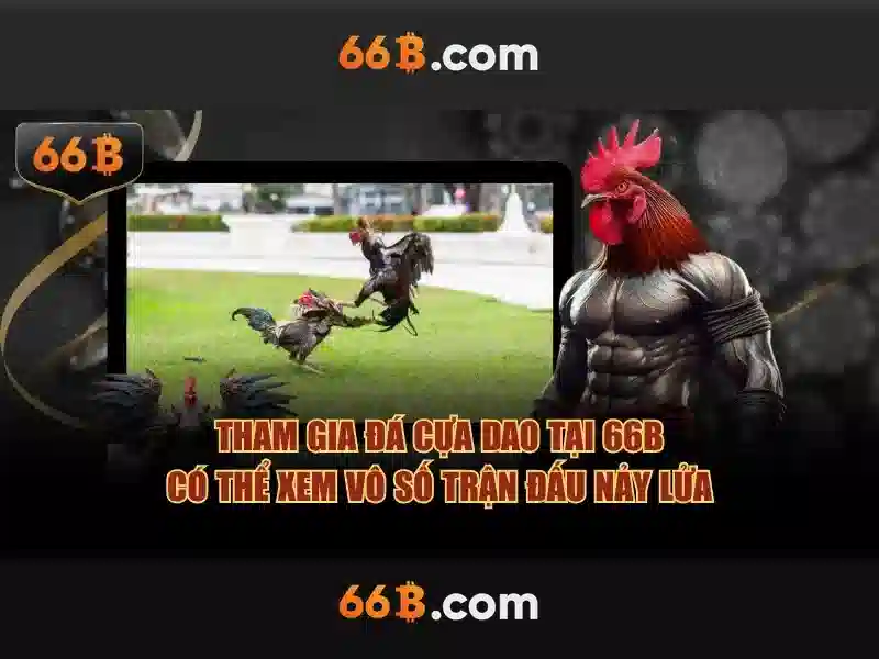 Kiến trúc và các lớp mô hình
