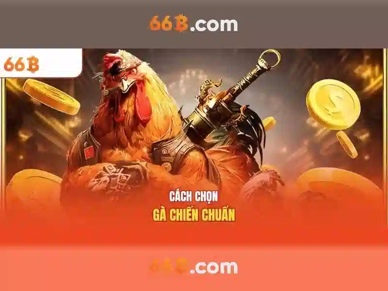 Đánh giá hiệu suất và thách thức