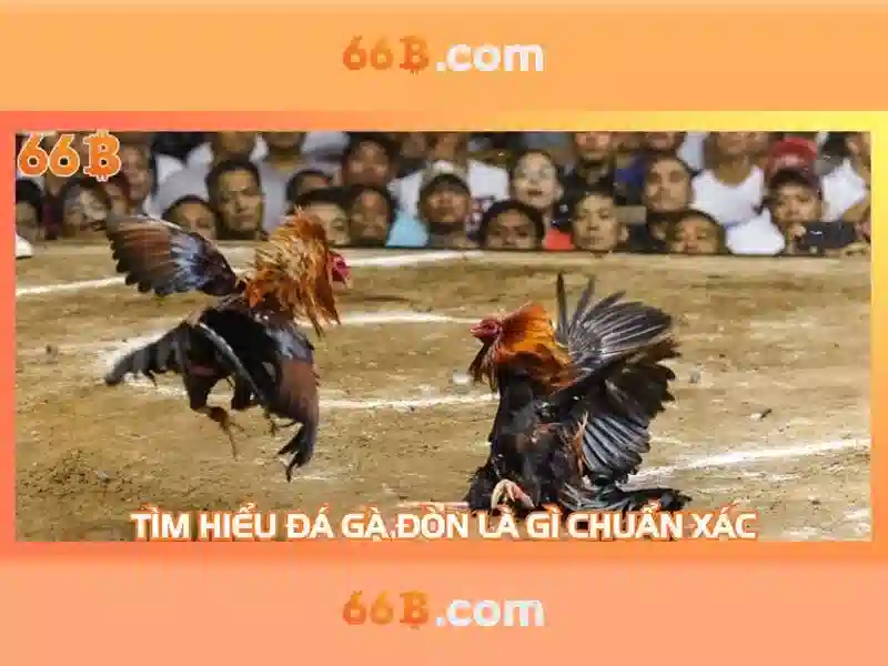 Endrick Rời Real Madrid – Câu Chuyện Phía Sau Quyết Định