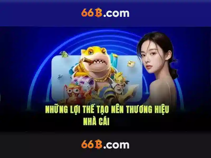 Khuyến nghị cho người mới