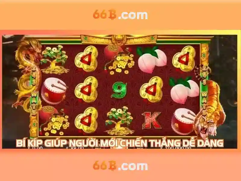 66b: khái niệm, ứng dụng và triển vọng