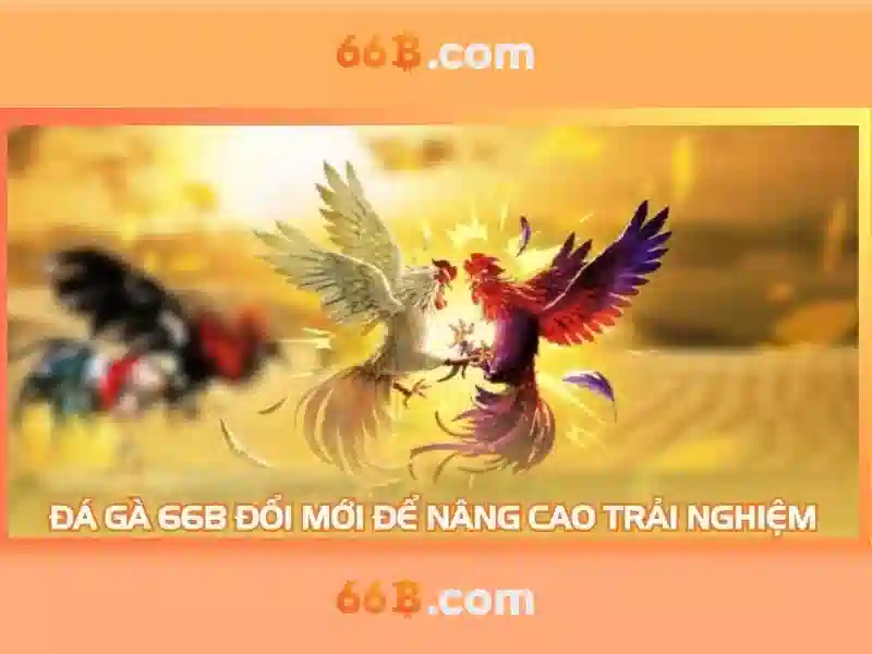 66b tran hung dao – Câu chuyện thương hiệu và hành trình vươn lên