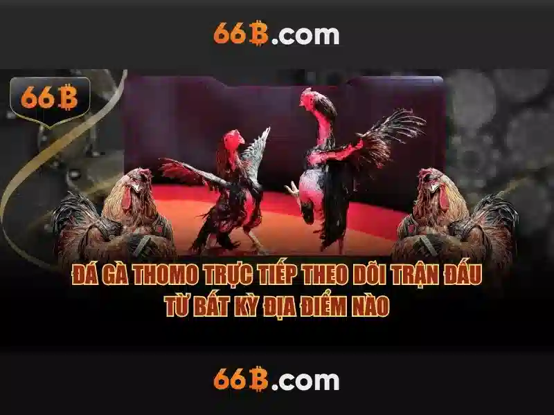 opt-66b: Đột phá công nghệ và trải nghiệm người dùng