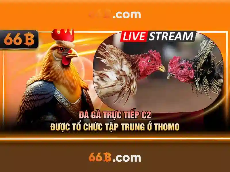 Kiến trúc và hiệu năng