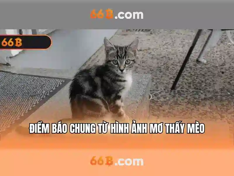 66B: Mô hình ngôn ngữ lớn với 66 tỷ tham số và hành trình của nó