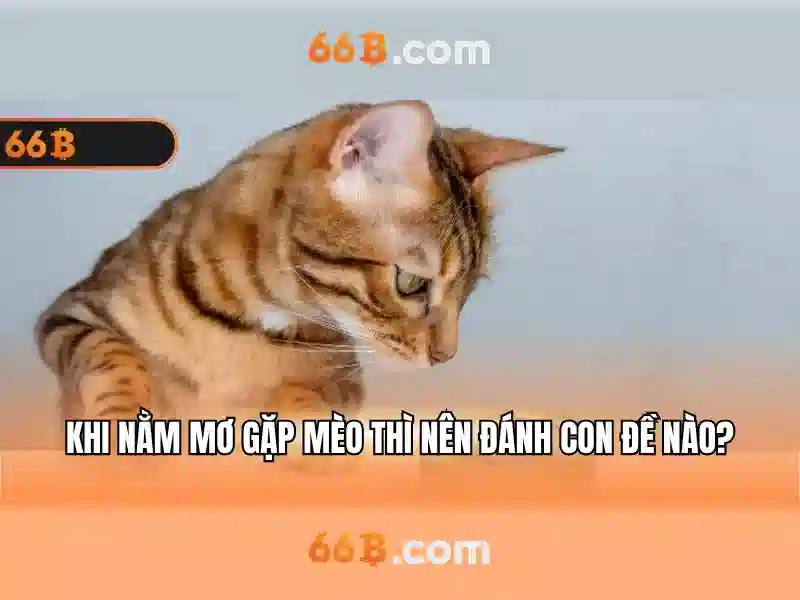 66b: Mô hình ngôn ngữ lớn và ảnh hưởng của nó