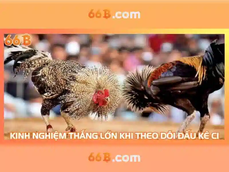 Kiến trúc và đào tạo