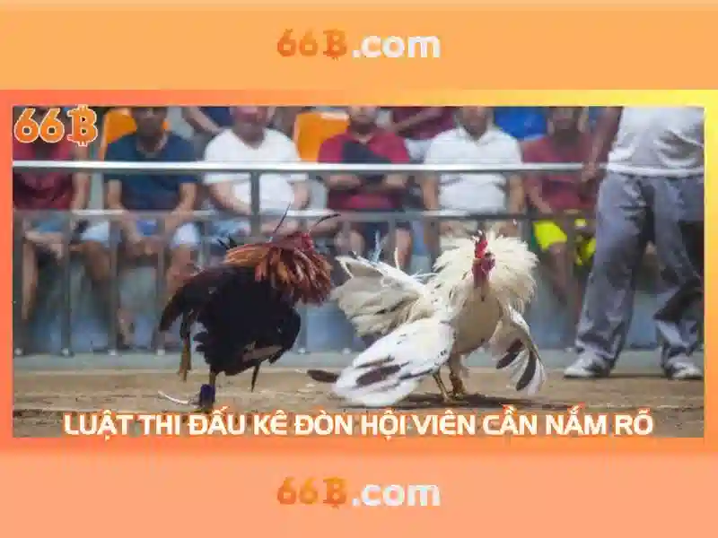 66b nguyễn sí sách – Tổng quan chủ đề và giá trị cốt lõi