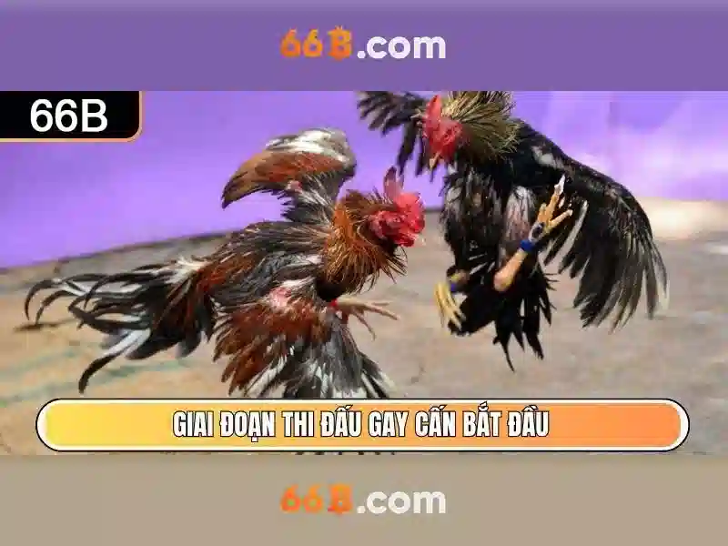 Ứng dụng và thách thức
