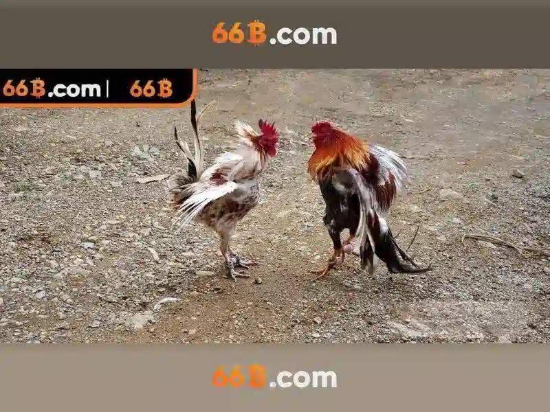 Ket qua va tuong lai