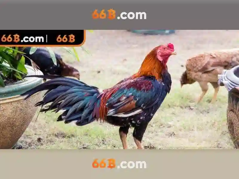 66B: Hiểu rõ về mô hình ngôn ngữ 66B và ứng dụng của nó
