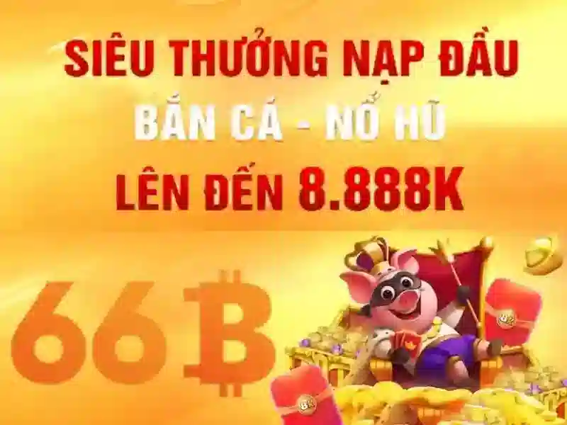 66b: khái niệm và tác động