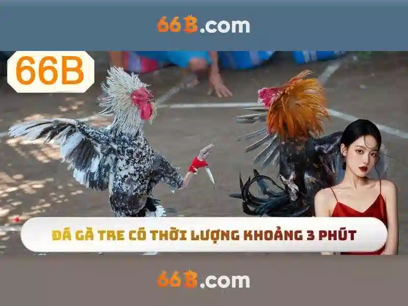 Cách mà 66B được huấn luyện