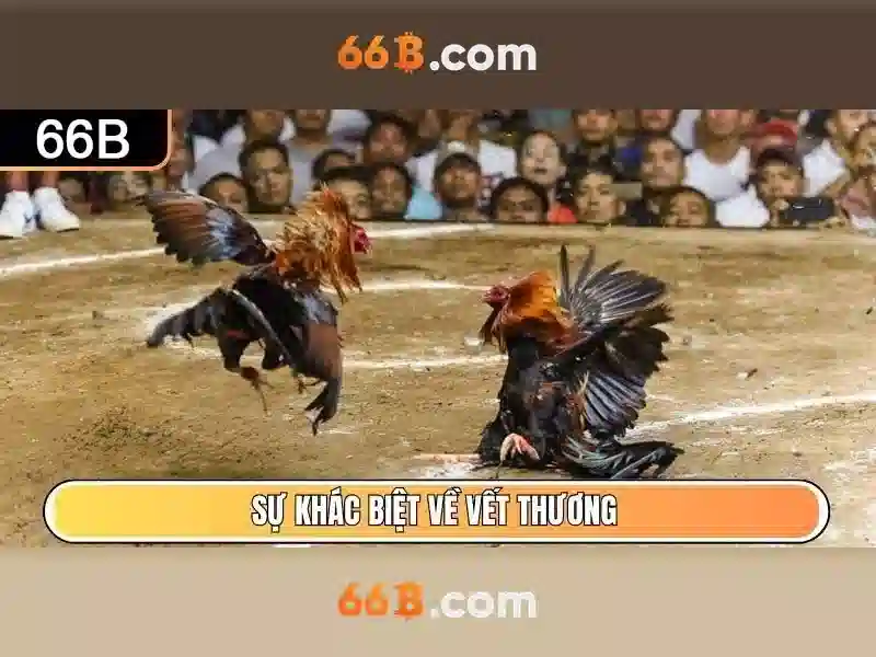 Ứng dụng và tác động