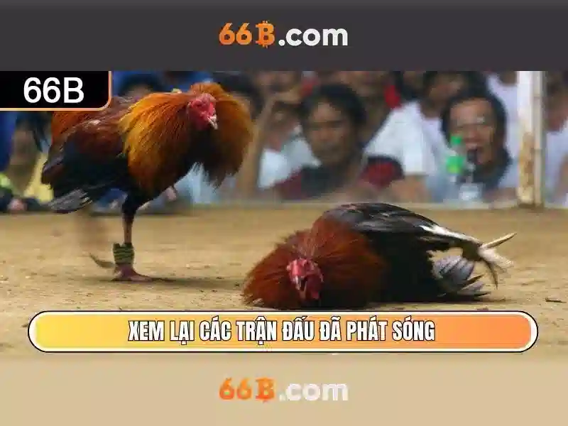 66b: một cái nhìn tổng quan về công nghệ và ứng dụng