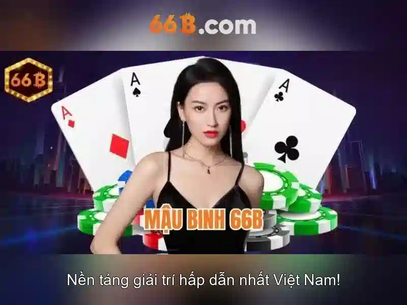 66B là gì?