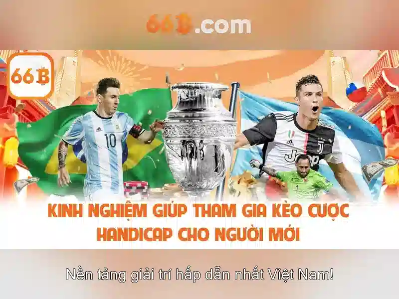 stevens 66b: Nguồn gốc, ứng dụng và trải nghiệm đầy đủ