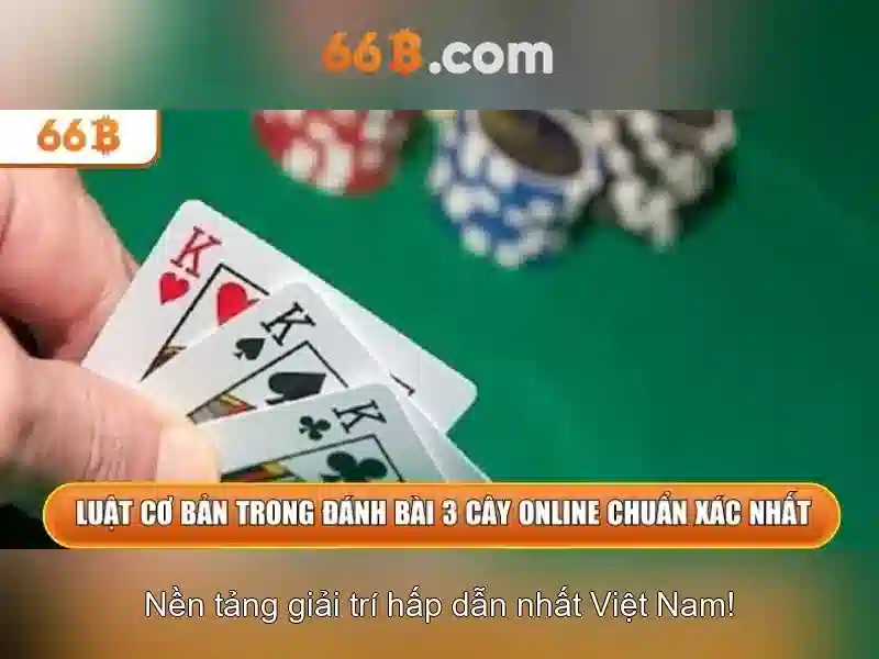 Thách thức và cơ hội khi làm việc với 66b