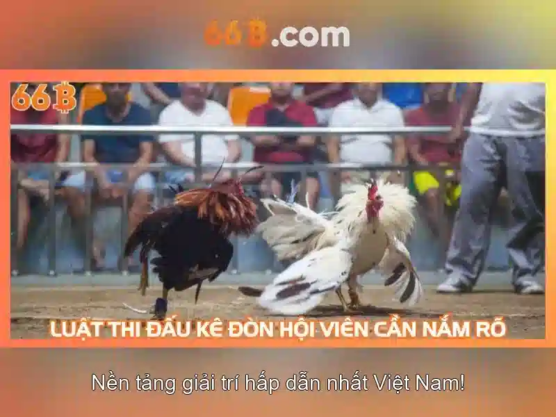 66B: Khái niệm và triển khai
