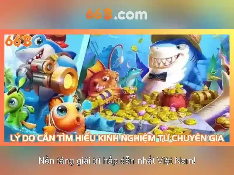 Kiến trúc và cách hoạt động của 66B