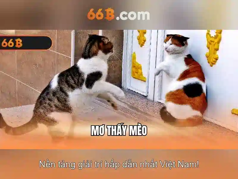 Cách hoạt động của 66B
