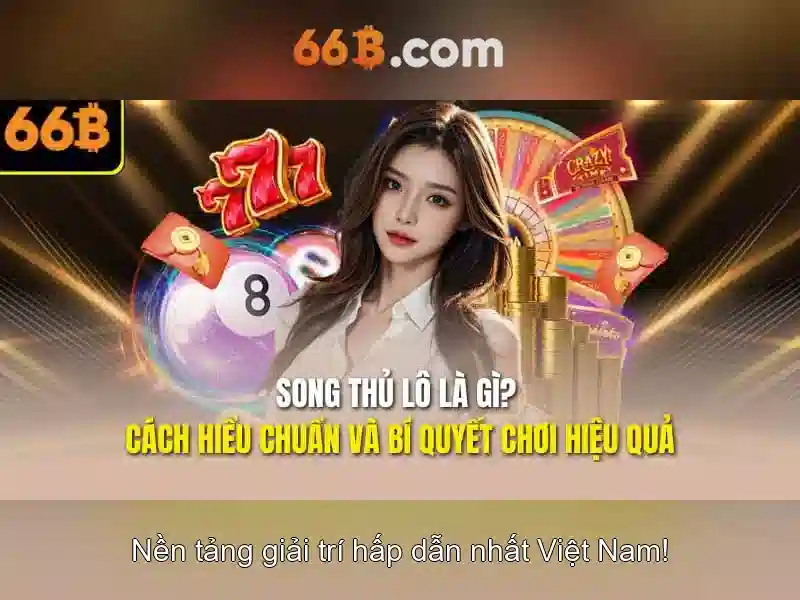 66B là gì