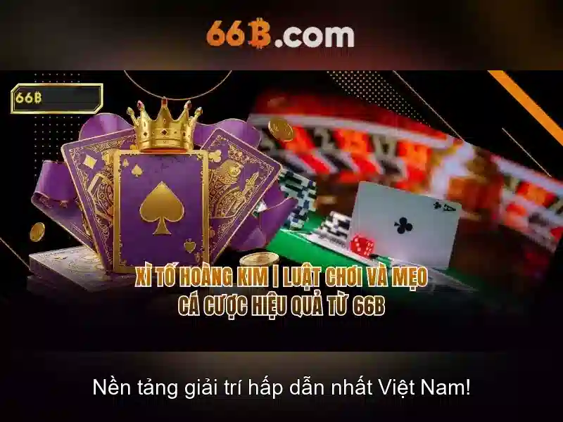 66b trong thế giới số: ý nghĩa và tiềm năng