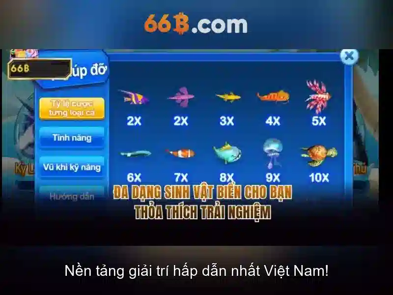 66B là gì?