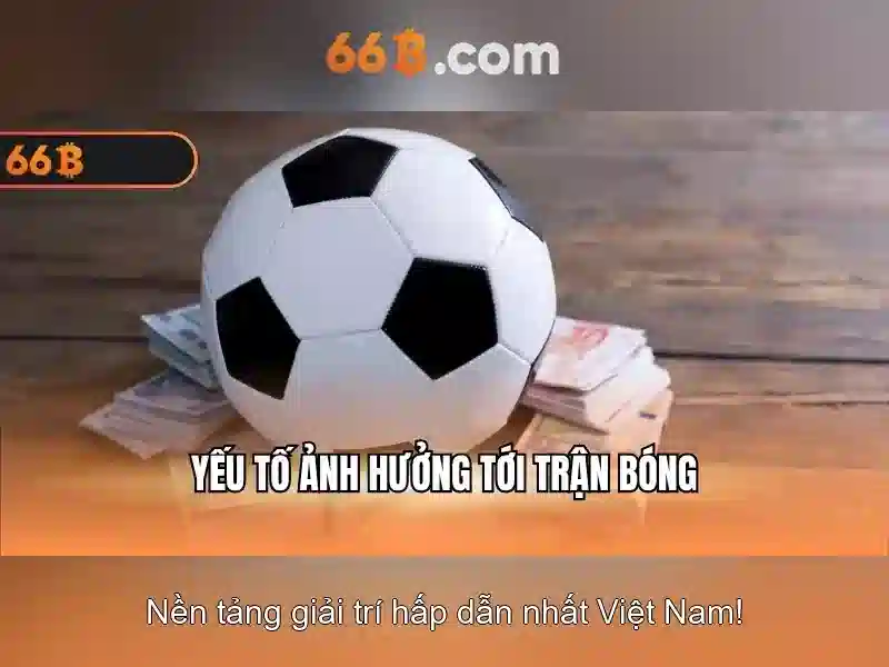 Đặc điểm nổi bật của 66B