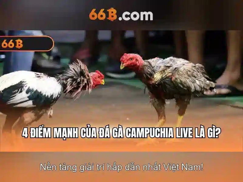 Cấu trúc và tham số