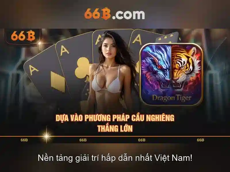 66b là gì?