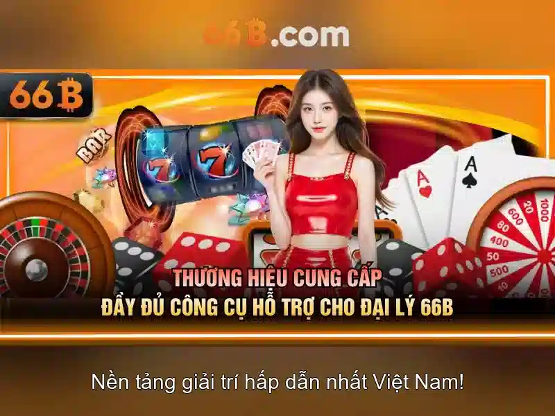66b là gì