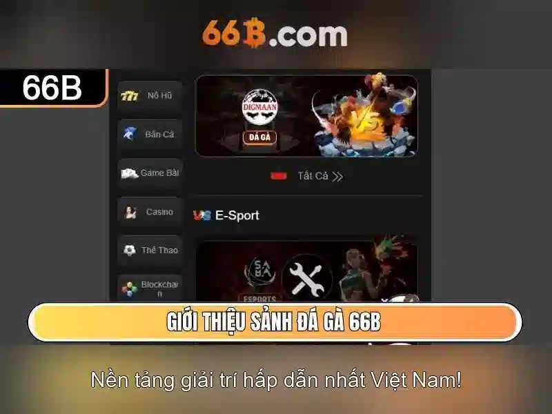66b: một khái niệm công nghệ và xã hội