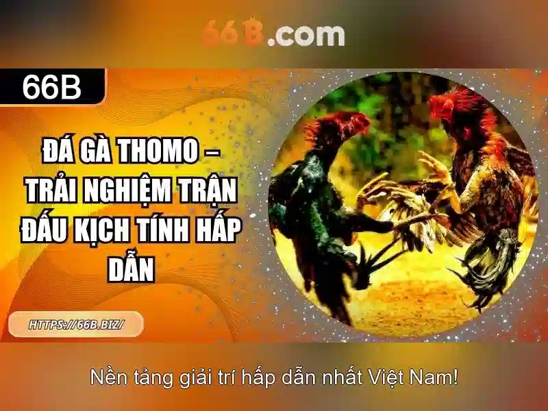 66B: Ý nghĩa, nguồn gốc và ứng dụng