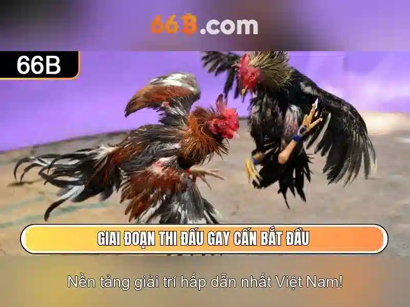 Kiến trúc chung và thách thức tối ưu hóa\n\n<h2><b>Cách áp dụng 66B trong thực tế</b></h2>\n<p><span style=