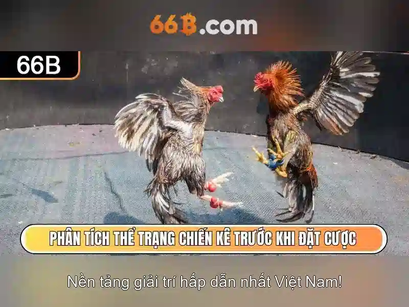 Giới thiệu về 66b
