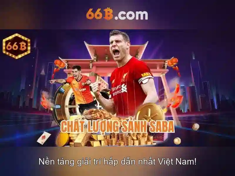 66B là gì và tại sao nó quan trọng