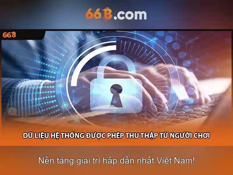 66B là gì và tại sao nó được chú ý