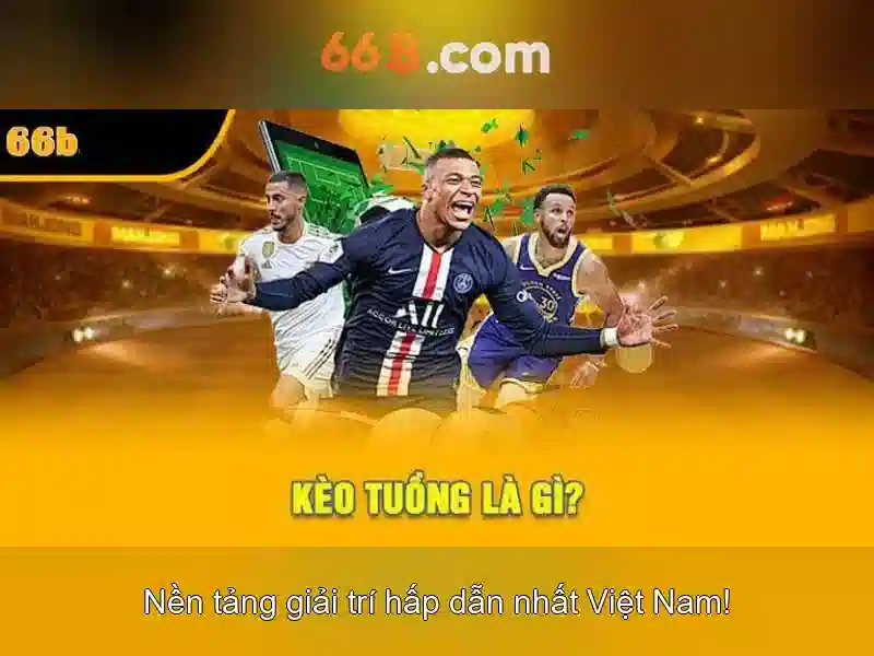 66B là gì và vì sao nó đáng chú ý