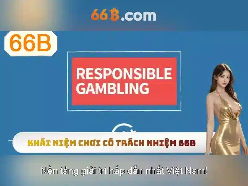 66B là gì?