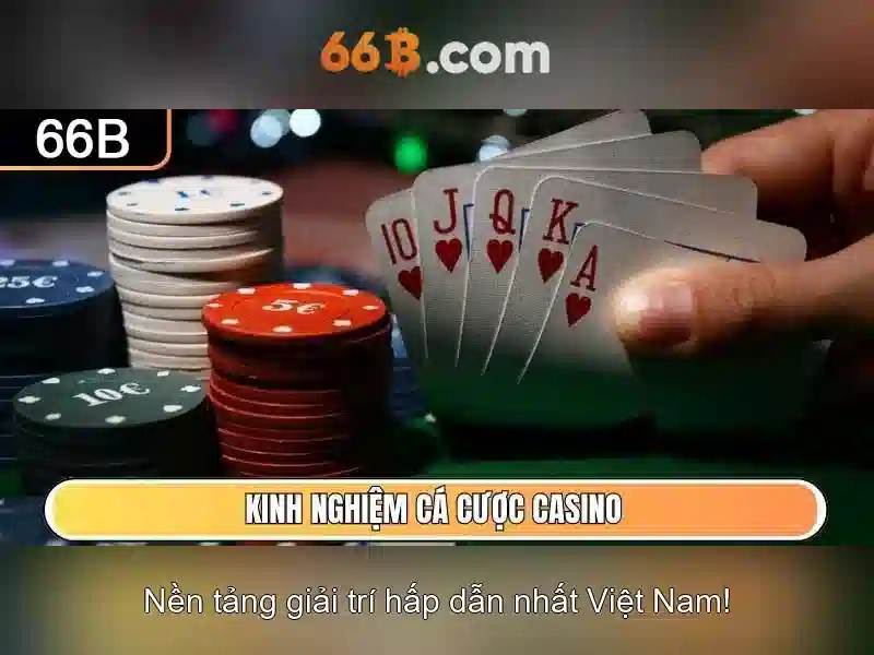 Đào tạo và dữ liệu\n\n<h2><b>Ứng dụng tiềm năng</b></h2>\n<p><span style=